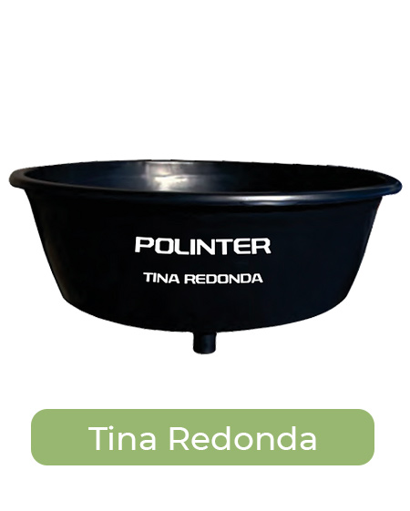 Tina Redonda Hocam